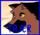 Tajer Avatar