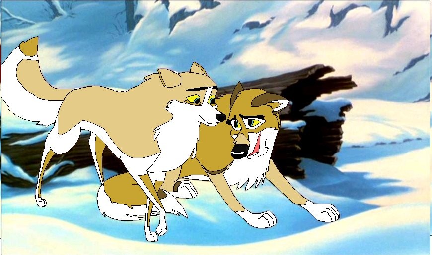 Everest & Fly
