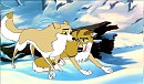 Everest & Fly