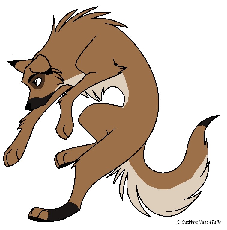 Zak