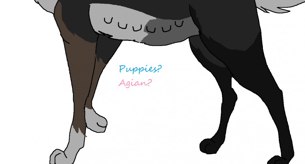 Pups?