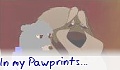  In my Pawprints...