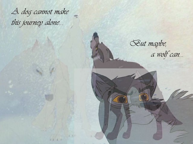White Wolf