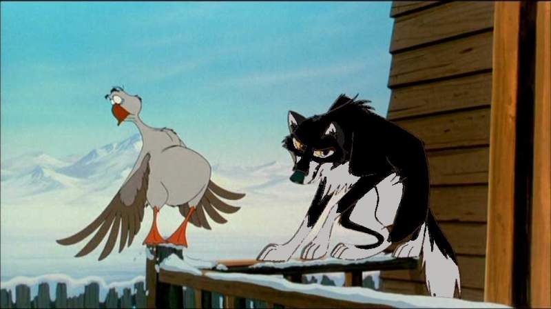 Ice playing with Goose
