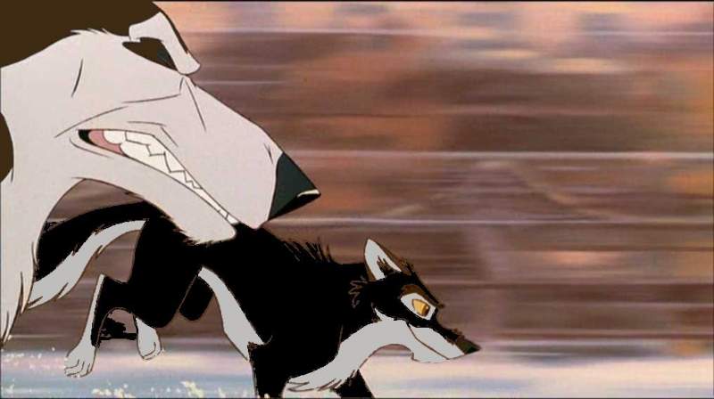 Ice winning race