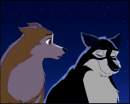 Ice and Kyley at night