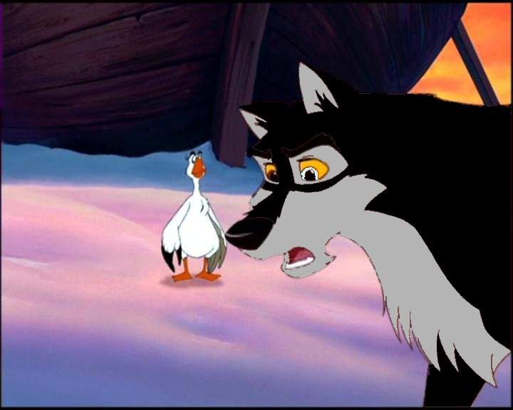 ICE CHAT ABOUT NEW ARTIC WOLF