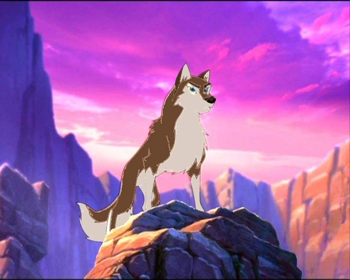 Sky and her pack