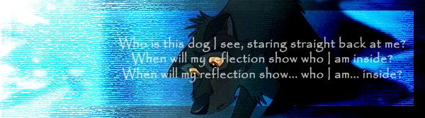 Reflections...