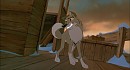 Husky Balto