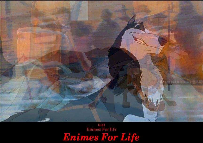 Enimes For Life Steele and Balto