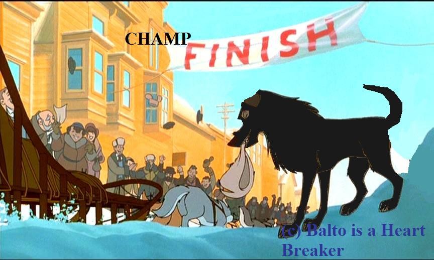 Champ-The Black Lab!