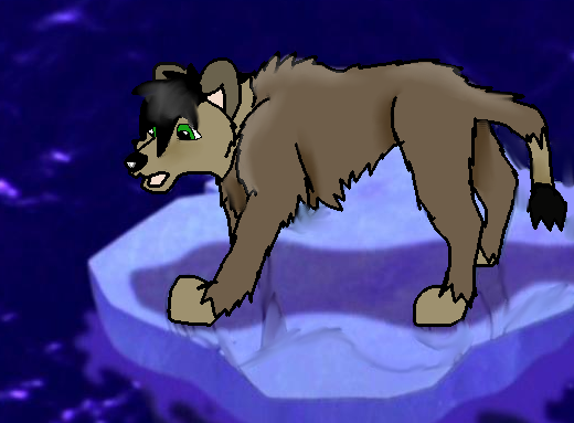 Ice Blocked