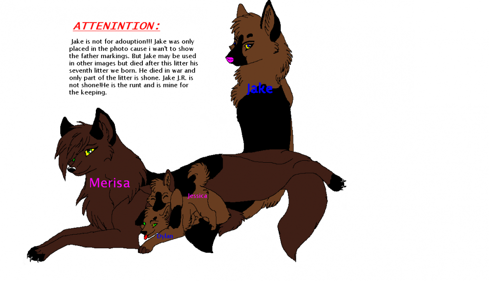 ADOUPTIES!!!!! .::READ DISCRIPTION::.