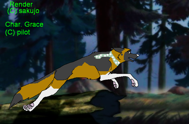  Run! Stampeed!