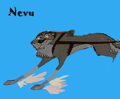 Nevu in Harness