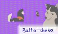 balto_sheba