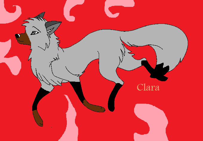 Clara~gift