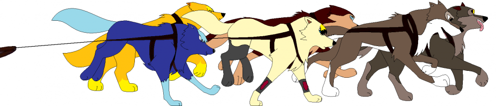 Team sled~colored-lineart