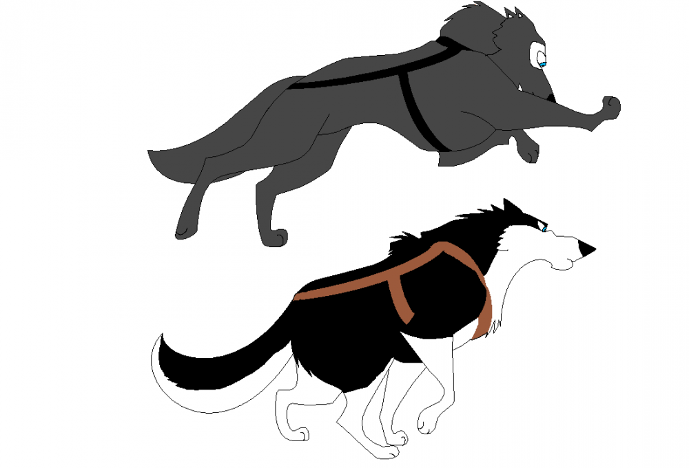 Canonicus and Ferrum runninging