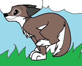 Fokker as a puppy!