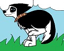 Steele AS puppy!