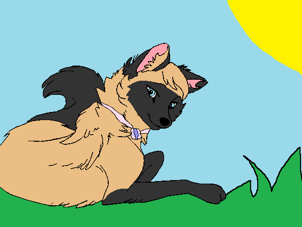 Kat~Gift