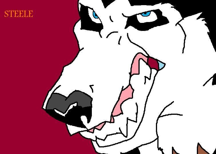 Steele drawing