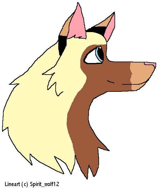 New character