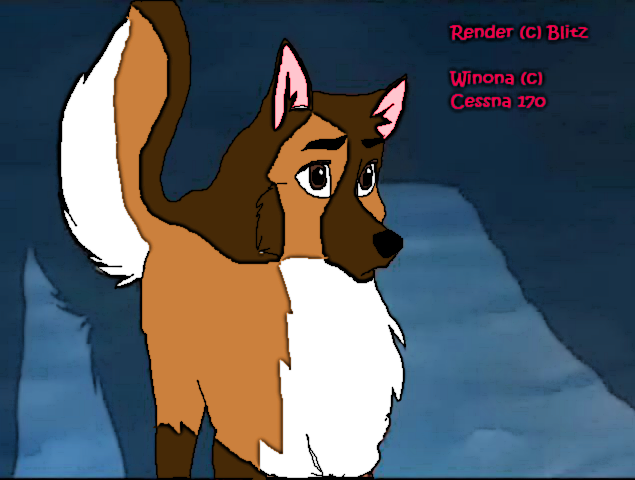 Request for Cessna 170