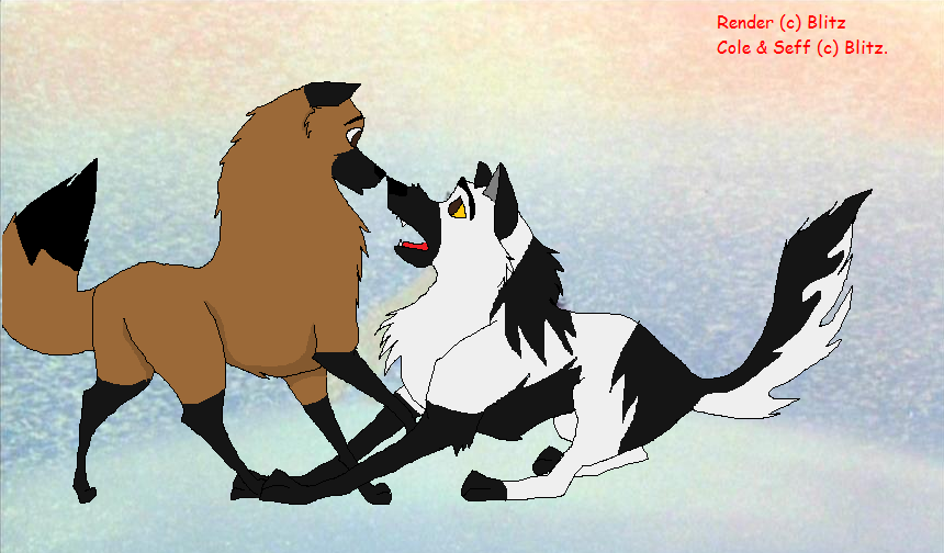 Seff and Cole.