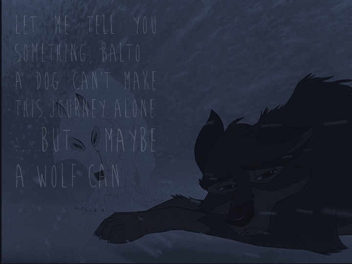 Dog VS Wolf