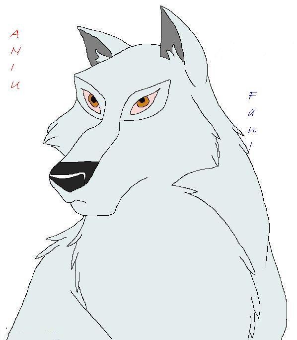 Aniu Fan!