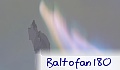 WolfSwind501