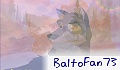 BaltoFan73