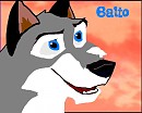 My Siberian husky Balto