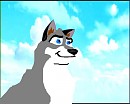 Balto_ in the springtime