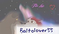 baltolover33