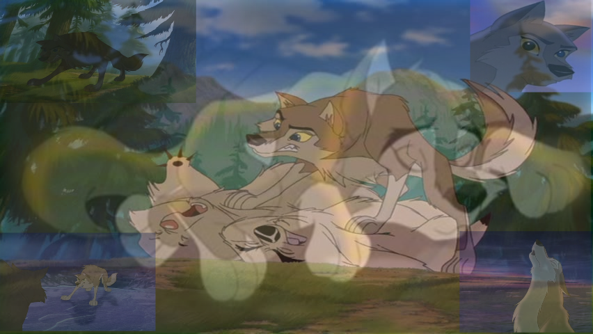 See The Wolf