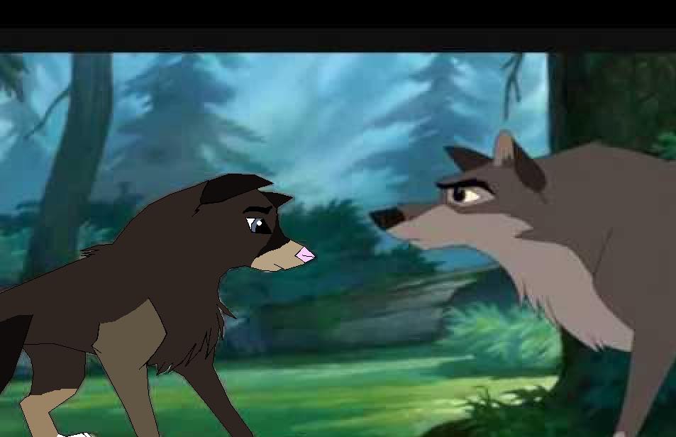 What did you say?
