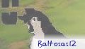 baltosas12