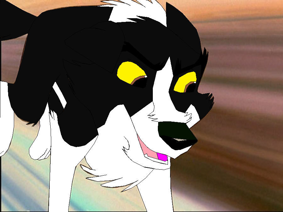 Yay, It's Maxwell!