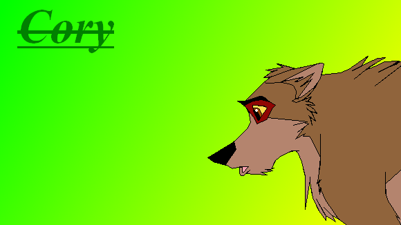 Cory - Colorful Background 