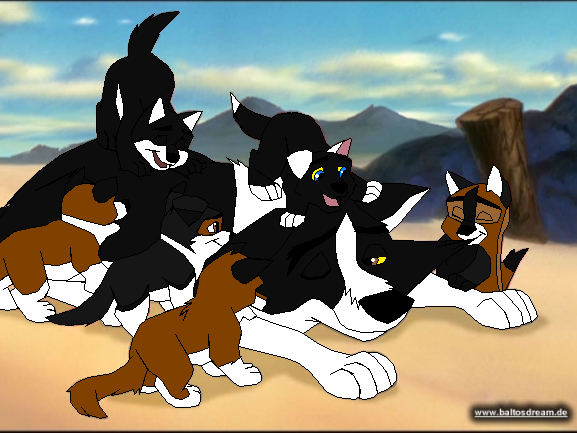 Maxwell and his Pups