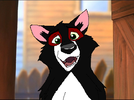 Request: Saske Italian Wolf - Jan