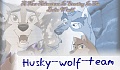 Husky_wolf_team