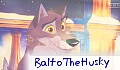 BaltoTheHusky