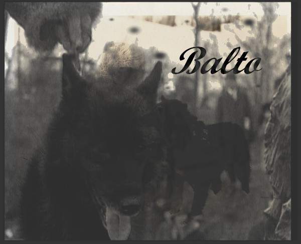 Real Balto