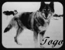 Togo