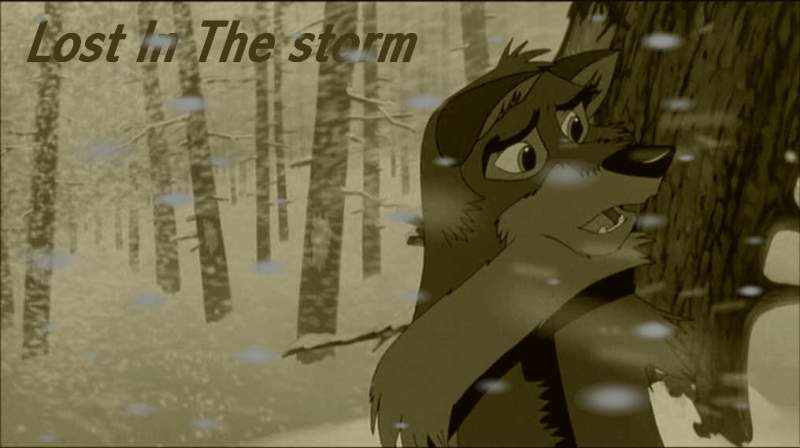 Lost In The Storm